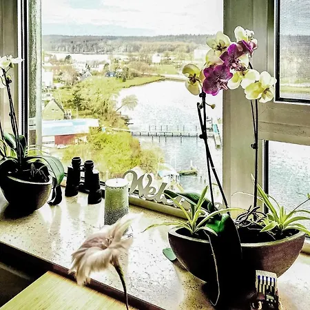 Apartment Lovely In With Wifi
